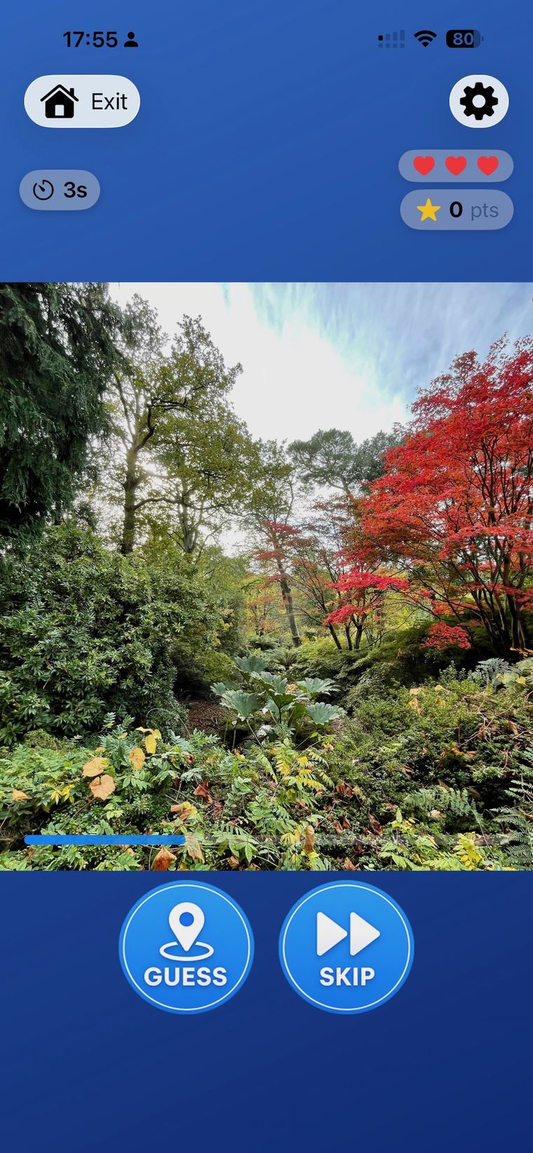 Zoom Quest gameplay — an autumn garden with red and green trees
